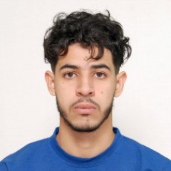 Mehdi LALLALI