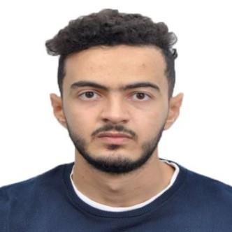 MOHAMED DJAMEL AMZAL